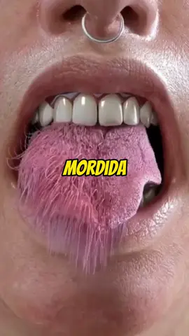 Fatos Aleatórios que você não fazia ideia!! 😨 #fatoscuriosos #curiosidades #fatos #ideiasincriveis #satisfatório 