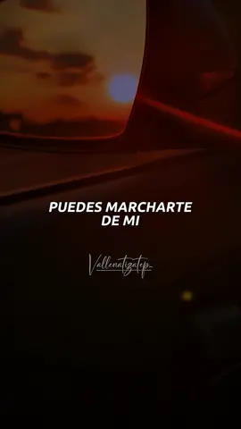 #miprimeramor #vallenatos #vallenatizatepapa🥰 #vallenatizatepp #vallenatiza #vallenatizatep #vallenatopararecordar 