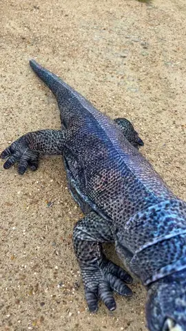 Kimodo Dragon Escapes in UK #kimododragon #kimodo #kimododragons #kimododragonplushies #lifelike #realistic