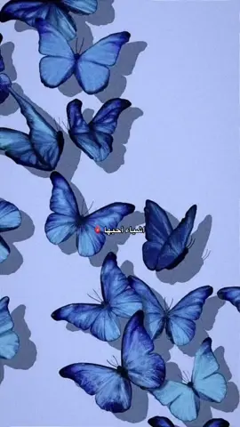 #ستوريات_انستا #jungkook #butterfelis🦋 #تصاميم_فراشه🦋 #فراشتي_الحلوين🦋✨🥺 #گـــــوني_گـــــالفراشــــة #ідеяподарунку #CapCut #exp #🦋 #حالات_واتس #اشياء_احبها💕 #مطر #ورد #بحر#تصوير 