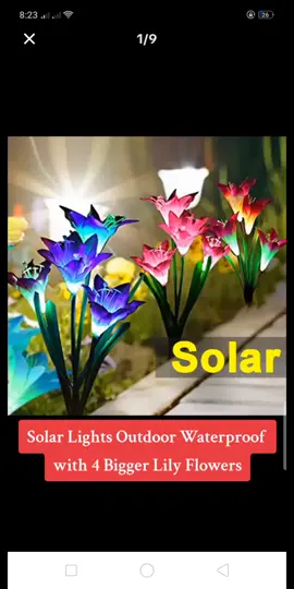 #SolarLightsOutdoorWaterproof with 4 Bigger #LilyFlowersforOutdoorGarden #TreePathway #StreetPatio #LandscapeDecor Price dropped to just ₱54.00 - 206.00! #ChristmasDecor #trendingproducts #tiktokshop #affiliate #fypage 
