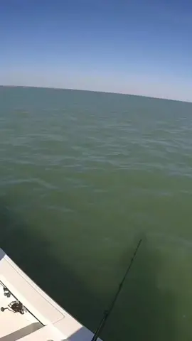 #fishing #trending #fypシ゚viral #likeandfollow❤️❤️❤️😍 #funny 