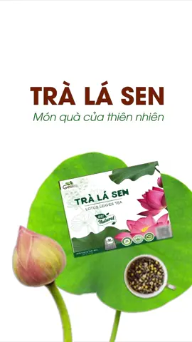 😰 Cả nhà mình có ai đang bị trằn trọc, mất ngủ về đêm thì xem liền video về Trà lá sen của Goce nha! #donghanhcunggoce  #ancungtiktok  #gocevn  #gocevietnam  #chamlosuckhoe  #xuhuong2023🥰  #tralasen  #lasen  #bongsen  #fypシ  #cuckimcuong  #tiktokshop