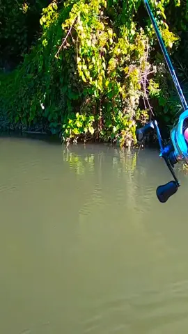 #fish #fishing #foryou #fishinglife #foryoupage