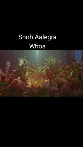 #snohaalegra #whoa #foryou #foryoupage #rnb #soul #mood #moodmusic #slowjams #Love #neosoul #midnightlove #lovesongs #grownfolks #grownfolksmusic #BlackTikTok 