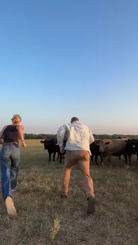 @cowboymax lets start a dance off @Bridle Bit Ranch #danceoff #cows #funny #dadsoftiktok 