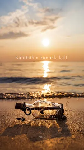 episode 46#thamil #statusvideo #whatsappstatus #tamilsong #copyright #vibes #pavijay #voice #lyrics #music #momlife #mom_son❤️❤️ #god #loveyou #viralvideo #fyp #fypシ #fypシ #tamiltiktok #srilankatiktok #trincomalee 