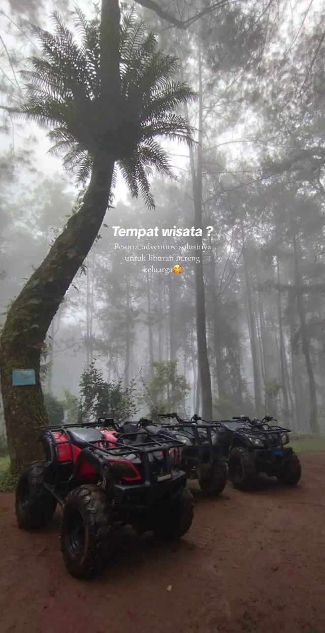 Pesona adventure solusinya untuk liburan bareng keluarga yang engga harus nunggu antrian 🥰 #tiktok #pesona_adventure #fyp #viral #adventure #adventuretime #visitbogor #explorebogor #wisatapuncak #bogor 