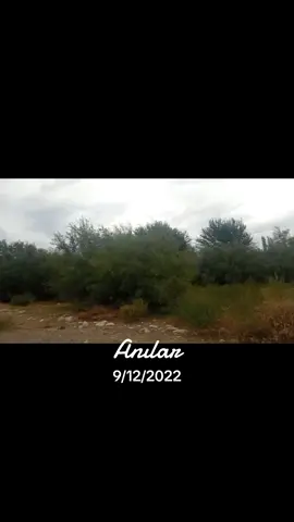 #anılar 
