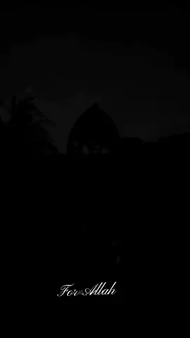 #prophetmuhammad #islam  #anasheed #في_حضرة_المحبوب 