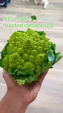Roasted Romanesco 😍 This recipe is perfect if you want to substitute broccoli or cauliflower as well! It honestly makes veggies irresistible 🔥 🥦chop + steam in pot 🥦drain water from pot and season with extra virgin olive oil, lemon pepper, onion powder, and garlic salt (or regular salt)  🥦smash on baking sheet  🥦bake at 400 for 15 minutes or until golden brown #romanesco #broccolirecipes #cauliflowerrecipes #ovenroastedbroccoli #healthyeating 