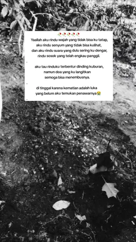 Al-fatihah ncik NUR HAYATUN Binti Hasbullah dan bapak mertua WAGIMIN Bin Karyo Rejo  . #kehilangan #shannashannon #kamudankenangan #kematian #doaanaksoleh #alfatihah #doauntukorangtua #meninggal #ambulance #foryou #fypシ #xyzbca #innalillahiwainnalillahirajiun #kepergianmu #foryoupage #kehilangan #Pergi Selamanya Meninggal #takakankembali #rindu #rinduorangyangsudahpergi #rindumenyakitkan 