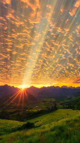 scenery sunrise #scenery #wallpaper #nền #nenvideo 