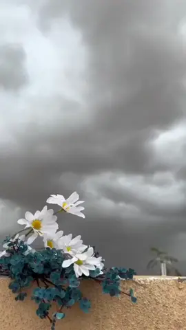 #عزيز انته واعز من الروح #عزيز#عزيز_انتا_واعز_من_الروح #صباح_الخير #اكسبلورexplore #حالات_واتس #مشاهير_تيك_توك #اكسبلور #تصميم_فيديوهات🎶🎤🎬 #تصميمي❤️ #CapCut 