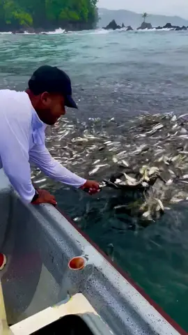 #fishing #fishingfun #fishingtiktoks #foryou