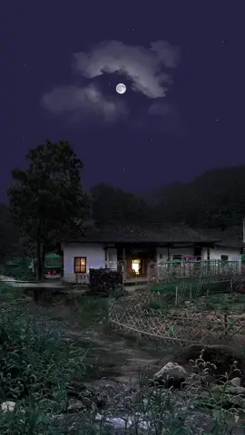 #night #nature #alam #desa #pedesaan #suasanahening #sepi #sunyi #tenang #fyp #viral 