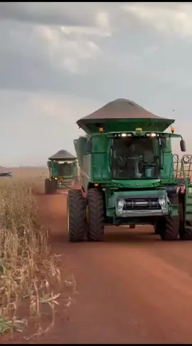 #ago #a #agora #Milho#agro #colheitadeira❤️🌱 #colheitadeira #Jandir #a 