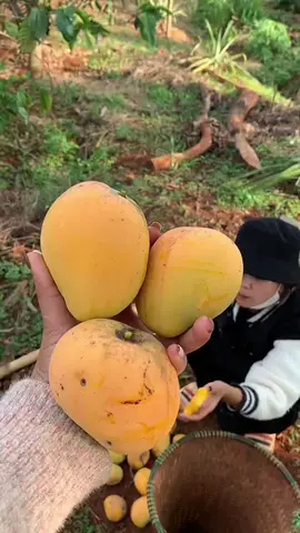 👩‍🌾👍🏻🫠 enjoy #new #hot #top #fresh #sweet #tasty 