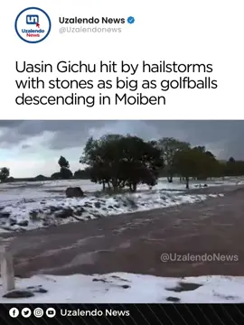 Moiben in Uasin Gichu hit the news after a brutal hailstorm destroyed crops #uzalendonews #kenyantiktok #kenya 