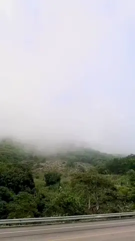 Hermosa Vista🌱🌿 #paisaje #naturaleza #zinacantan #carretera 
