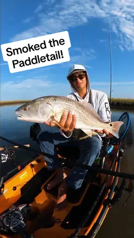 I didn’t see the fish, but there was plenty of bait and activity around. Retrieved it tight to the point and there he was 🤩 #redfish #fishtok #saltwaterfishing 