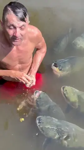 #valdemir  encantador de peixes gigante 