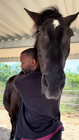 He Can’t Handle #HuggyWitherScratches #ItchesGetScritches #SammiValentine #Horse #Horses #HorseTok #HorsesOfTikTok  #HorseLove #Equestrian #KnightInTraining #EquestrianInTraining #Percheron #PercheronsOfTikTok #WarHorse #HappyTrails #fyp #Pets #Horsedad #ActionDraft