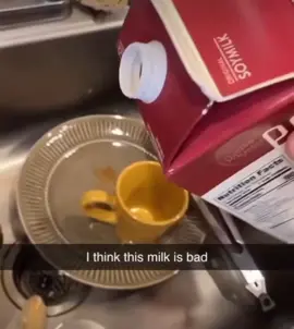 Pluh! 🗣️🗣️🔥🔥🔥 #foryou #funny #fyp #viral #meme #funnyvideos😂 #pluh 