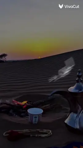 #صديقي _الغالي#صباح_الخير #اكسبلور 