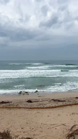 #mare#maremosso#mareagitato #onde#schiuma#nuvole #sea#spiaggia#mareintempesta #mareinverno #mareinvernale 