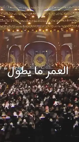 #ماجدالمهندس #كركوك_مدينتي #التون_كوبري 