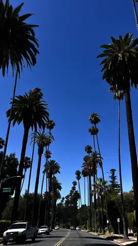 los angeles🏝️🎡🌃#california#losangeles#beverlyhills#palms#foryoupage#fyp#tumblr#tmblrgirl#downtownla#santamonica#sunset#aesthetic#videodump#supercar#dlaciebie