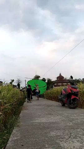 hust🤫#pelayangtulungagung #fyp #cahndeso #layanganramraman 