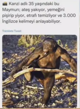 Bana da fark attı #edit #sigarazammı #borsaistanbul #borsacıdayı #borsacıdede #fyp #hisse 