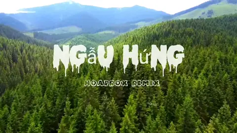 Ngẫu Hứng - hoaprox remix #nhachay#chill#kai#nhacbeat#loenontiktok 