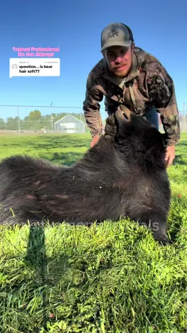 Replying to @⠀ ⠀ ⠀ ⠀ ⠀ ⠀ Bears are actually pretty soft. Just take my word for it though, dont try to pet one 😂 #amonganimals #animalsoftiktok #bearencounter 