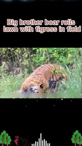 #fypシ #fyp #foryou #aminals #for #loveanimals #protection #rescue #anime #foryou 