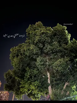 ❤️‍🩹❤️‍🩹❤️‍🩹❤️‍🩹#KEE #hamaki #مابلاش #حماقي #ma_balash #fyp #4u #fypシ #viral #stitch #foryou #fypage 