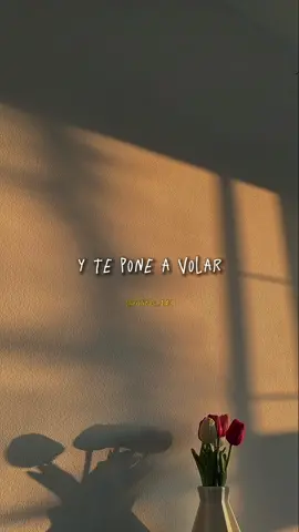#taconesrojos #sebastianyatra #rolitaschidas #paradedicar #lyrics #fypシ#music #paratii 