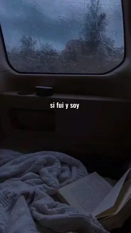 si fui y soy #bandalyrics #parati #foryou#grupofirme 