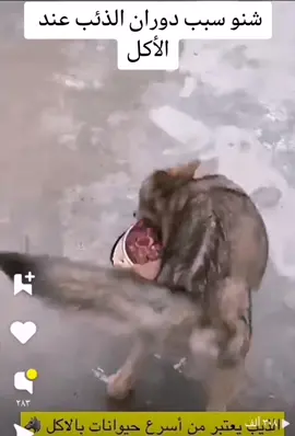 #اكسبلور #شنو_غريب_فيدو #شنو_الغريب_بالفيديو 