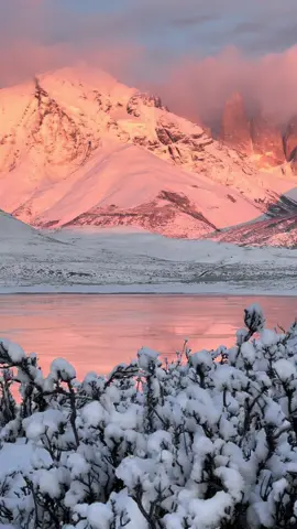 Asi amaneció Torres del Paine hoy día. Que mágico es el invierno en la Patagonia 😍❄️ #chile #torresdelpaine #patagonia #southamerica #planetearth #parquesnacionales #surdechile #mountains #travel #traveltiktok 