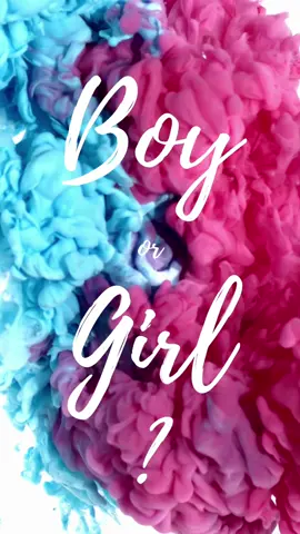 We decided to do our gender reveal digital as we have family scattered all across Australia and New Zealand We are very excited for this next journey as a family of four!  Follow along for more  Baby Riddle #2 is……….   #GenderReveal  #FamilyGrowing #baby2 #February2024 ##Love##fyp##Lovemyfamilygrow ##pregnant##familytiktok##LivingLife##boyorgirl💙💗##itsagirl
