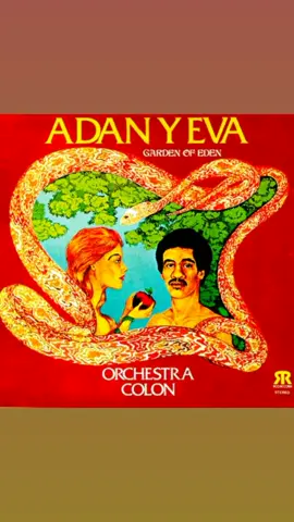 Sentencia china (Pedro Simón) - Orquesta Colón año - 1973. #paratitiktok #salsa 