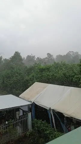 Nếu đang yêu nhau nhìn mưa sẽ nhớ nhau hơn thế nhưng sao chia tay lại sợ!!! 