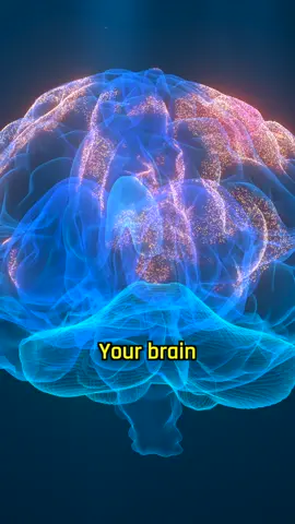 How much energy does the brain use? #Science #Research #Biology #Neuroscience #educationtiktok #LearnOnTikTok