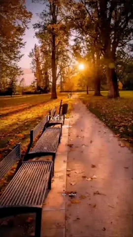 Teri Galiyan Galiyan Teri 🥀❤️🎧 #Aryan_writes #song #foryou #foryoupage #fypシ゚viral🖤tiktok #viral #viralvideo #grow #growmyaccount #capcut #tiktok #tiktokpakistan #welovetosmile #unfrezzmyaccount @TikTok 