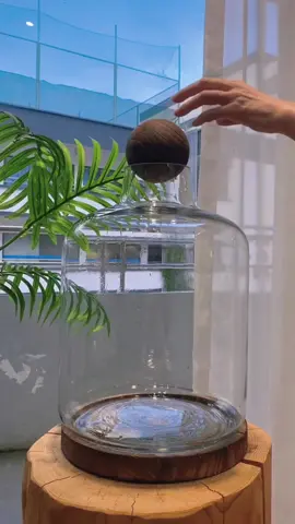 Don't you want to plant a water plant tank at home?#foryou #foryoupage #Fishtank #gardening 