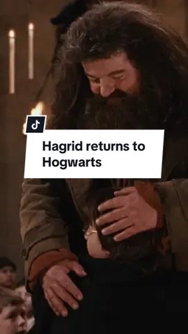 sending errol was an error #harrypotter #hagrid #movierecommendations 