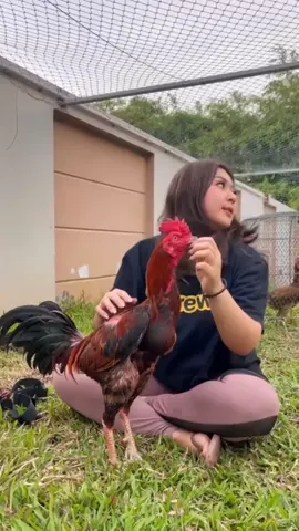 #pamangoniq #botohcantik #cewekcantik 